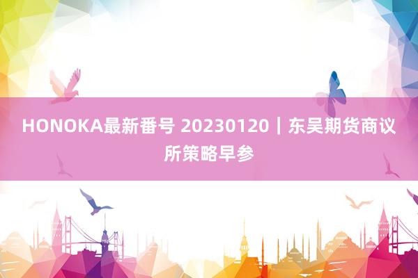 HONOKA最新番号 20230120｜东吴期货商议所策略早参