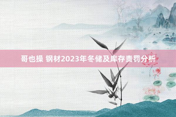 哥也操 钢材2023年冬储及库存责罚分析