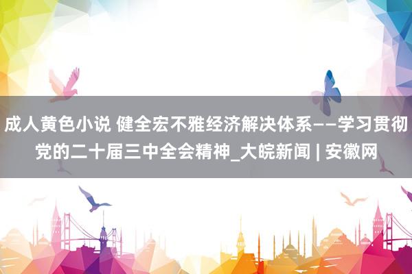 成人黄色小说 健全宏不雅经济解决体系——学习贯彻党的二十届三中全会精神_大皖新闻 | 安徽网