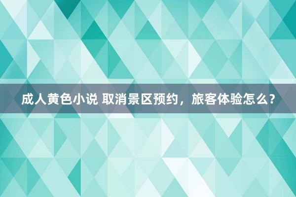 成人黄色小说 取消景区预约，旅客体验怎么？