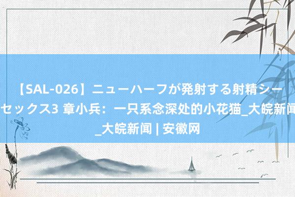 【SAL-026】ニューハーフが発射する射精シーンがあるセックス3 章小兵：一只系念深处的小花猫_大皖新闻 | 安徽网