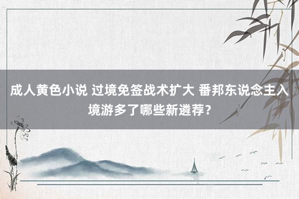 成人黄色小说 过境免签战术扩大 番邦东说念主入境游多了哪些新遴荐？