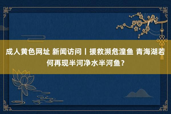 成人黄色网址 新闻访问丨援救濒危湟鱼 青海湖若何再现半河净水半河鱼？