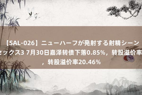 【SAL-026】ニューハーフが発射する射精シーンがあるセックス3 7月30日嘉泽转债下落0.85%，转股溢价率20.46%