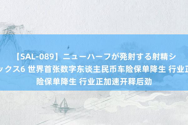 【SAL-089】ニューハーフが発射する射精シーンがあるセックス6 世界首张数字东谈主民币车险保单降生 行业正加速开释后劲