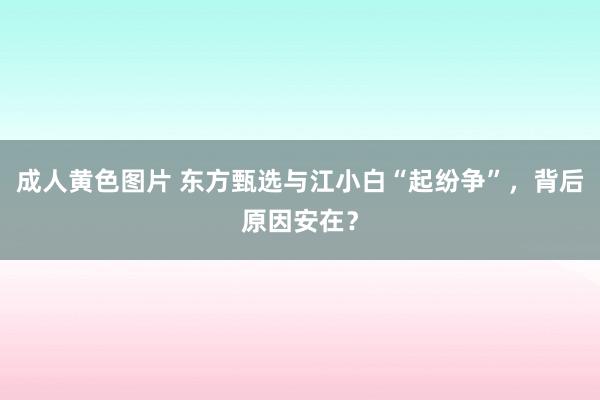 成人黄色图片 东方甄选与江小白“起纷争”，背后原因安在？