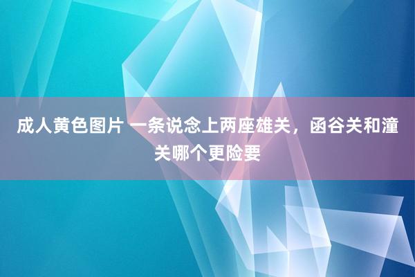 成人黄色图片 一条说念上两座雄关，函谷关和潼关哪个更险要