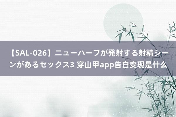 【SAL-026】ニューハーフが発射する射精シーンがあるセックス3 穿山甲app告白变现是什么