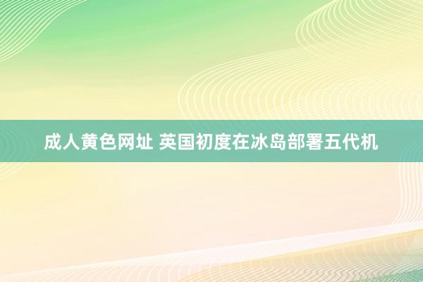 成人黄色网址 英国初度在冰岛部署五代机