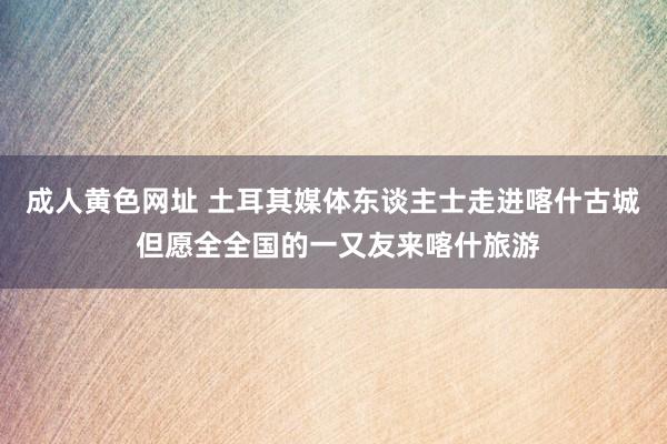 成人黄色网址 土耳其媒体东谈主士走进喀什古城 但愿全全国的一又友来喀什旅游