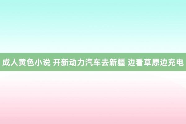 成人黄色小说 开新动力汽车去新疆 边看草原边充电