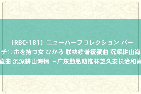 【RBC-181】ニューハーフコレクション パーフェクトエロマシーン チ○ポを持つ女 ひかる 联袂续谱援藏曲 沉深耕山海情  —广东勤恳助推林芝久安长治和高质料发展