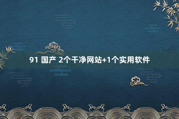 91 国产 2个干净网站+1个实用软件