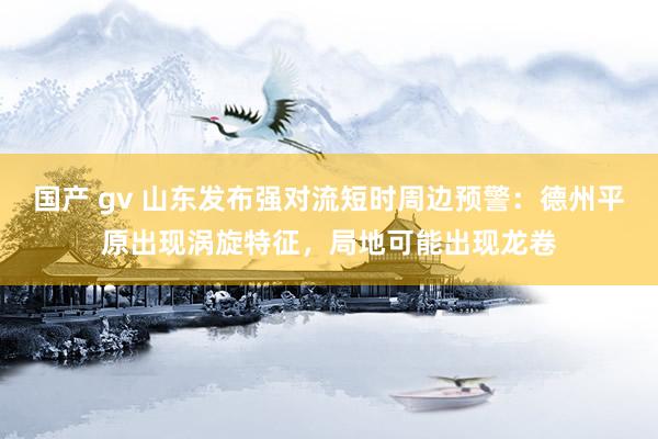 国产 gv 山东发布强对流短时周边预警：德州平原出现涡旋特征，局地可能出现龙卷