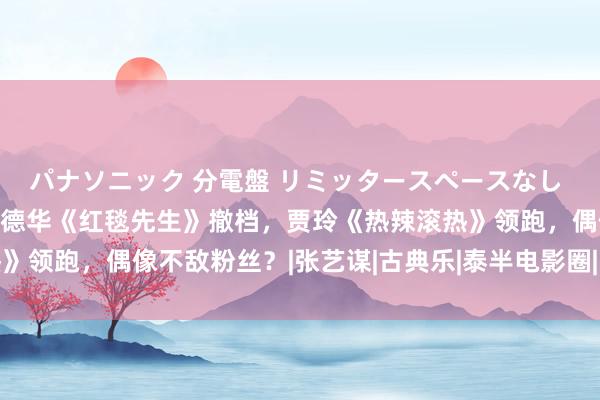 パナソニック 分電盤 リミッタースペースなし 露出・半埋込両用形 刘德华《红毯先生》撤档，贾玲《热辣滚热》领跑，偶像不敌粉丝？|张艺谋|古典乐|泰半电影圈|中国传统音乐